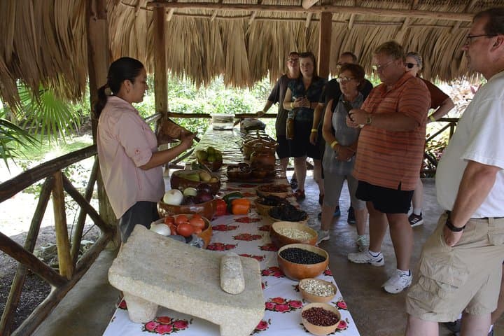 Chacchoben Mayan Ruins & Village Experience from Costa Maya — Half-Day Cultural Tour photo 5