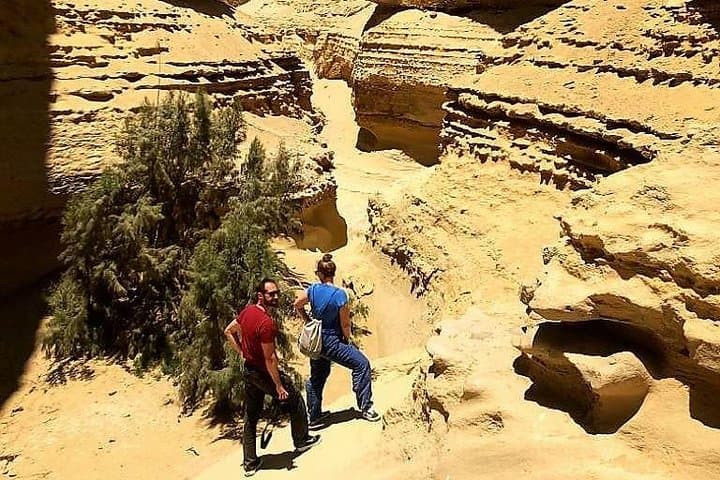 Canyon of the Lost: Ocucaje Fossil Trek and Desert Canyon Ecotour photo 6