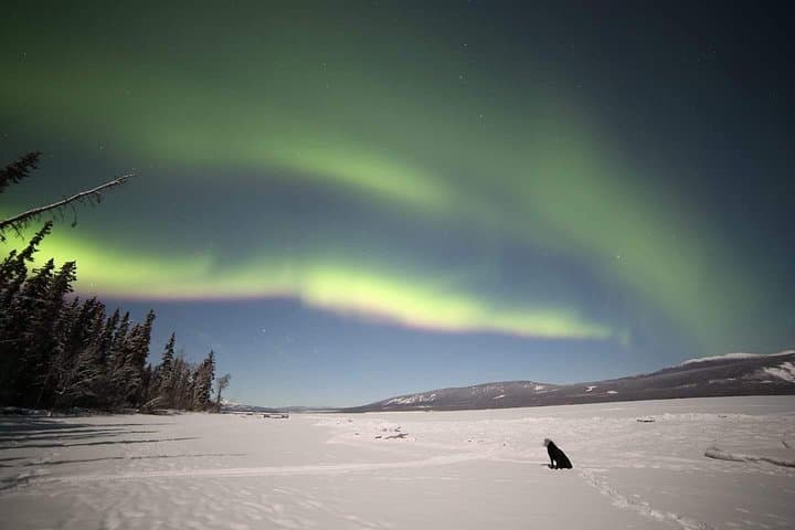 Aurora Hunting Near Whitehorse: Night Drives to See the Northern Lights photo 4