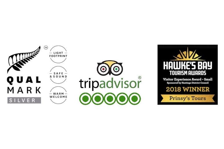 Half-Day Hawke's Bay Wine Tour from Napier — Small-Group Tastings & Cheeseboard photo 6