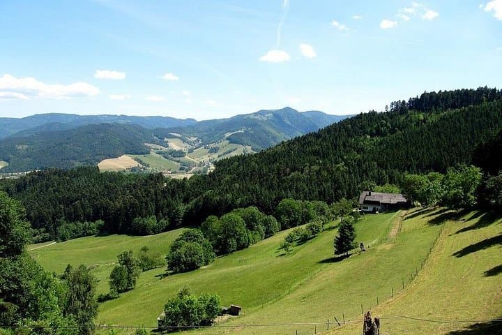Black Forest Day Tour from Heidelberg — Mummelsee, Waterfalls & Village Stops photo 1
