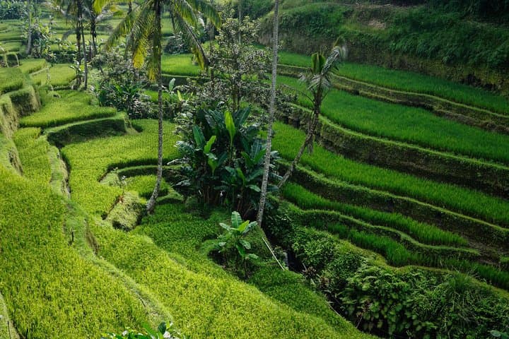 Secret Garden Bali & Pura Ulun Danu: Full-Day Small-Group Waterfall Trek and Temple Visit photo 3