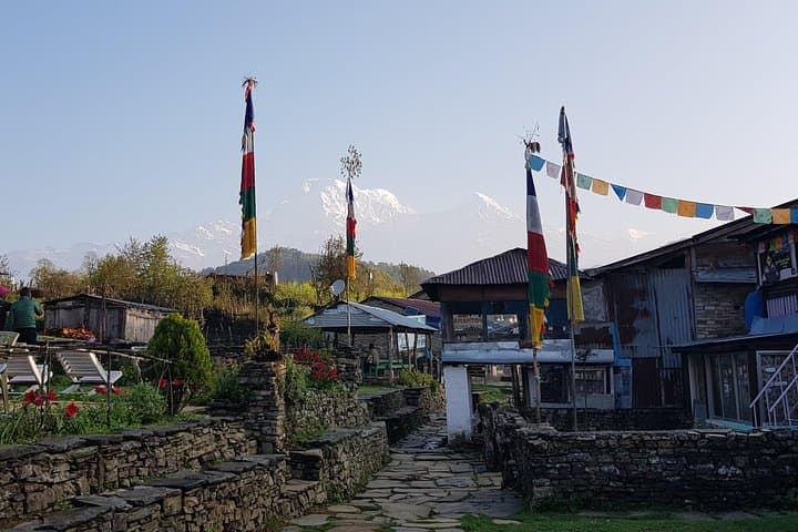 Mardi Himal Trek: Short Annapurna Trek to Spectacular High-Altitude Views photo 3