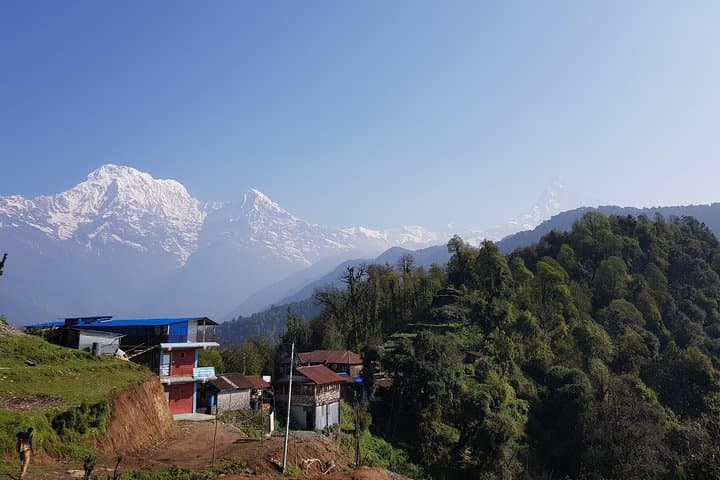 Mardi Himal Trek: Short Annapurna Trek to Spectacular High-Altitude Views photo 4