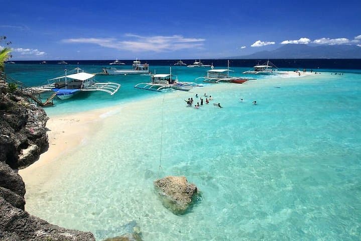 Oslob Whale Sharks, Canyoneering & Kawasan Falls — Day Trip to Sumilon Sandbar