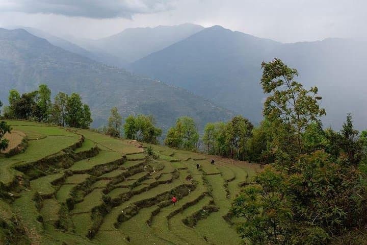 Panchase Hill Private Guided Trek: Short Annapurna Trek from Pokhara photo 2