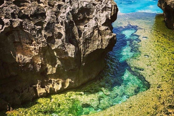 Nusa Penida West Snorkel & Sightseeing — Manta Rays, Kelingking & Angel's Billabong photo 4