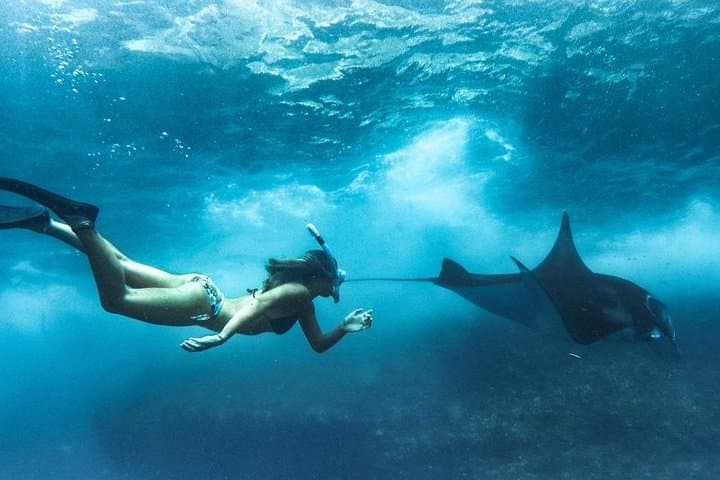 Nusa Penida West Snorkel & Sightseeing — Manta Rays, Kelingking & Angel's Billabong photo 2