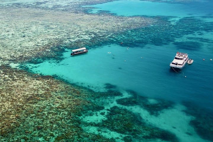 Cairns Luxury Snorkel & Dive Cruise to Upolu Reef and Upolu Cay photo 2