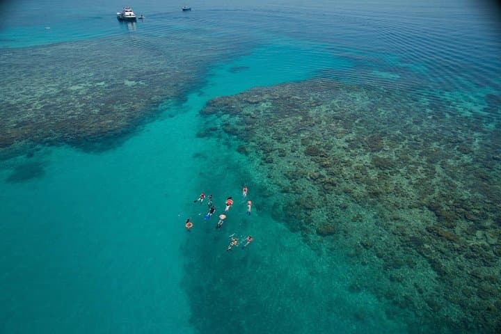 Cairns Luxury Snorkel & Dive Cruise to Upolu Reef and Upolu Cay photo 5