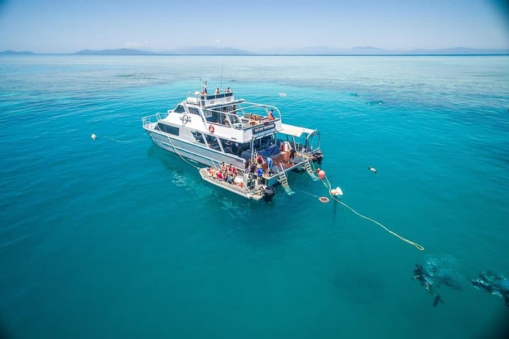 Cairns Luxury Snorkel & Dive Cruise to Upolu Reef and Upolu Cay photo 3
