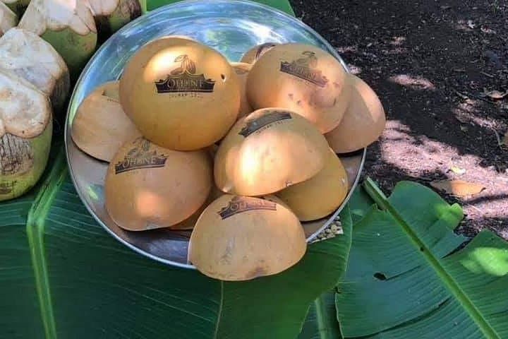 Taste of Ghana: Full-Day Cocoa Farm Tour from Accra photo 2