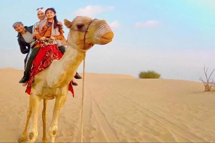 Sunset Dune Bash: Dubai Evening Desert Safari with Dinner Buffet (Private Vehicle) photo 5