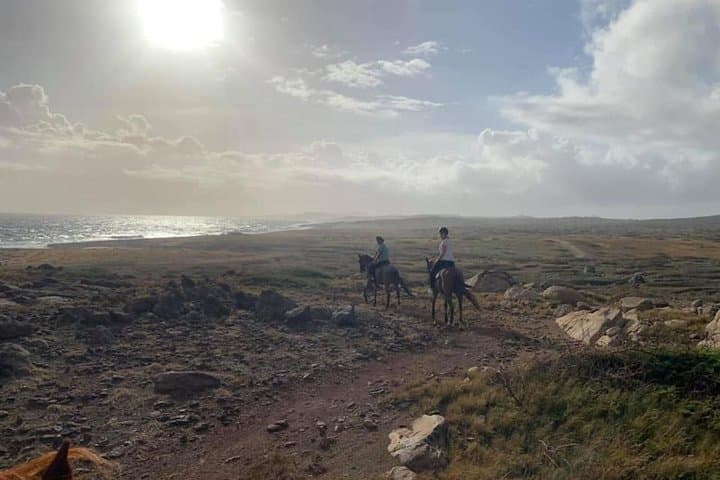 Advanced 2-Hour Private Horseback Ride in Aruba — Beach Gallops & Cunucu Trails photo 5