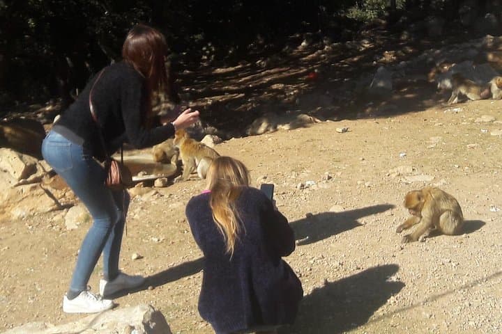 Fez to the Middle Atlas: Ifrane, Azrou and the Cedar Monkey Forest — A Full-Day Mountain Escape photo 4