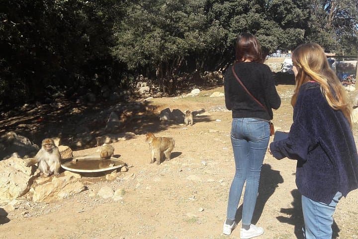 Fez to the Middle Atlas: Ifrane, Azrou and the Cedar Monkey Forest — A Full-Day Mountain Escape photo 6
