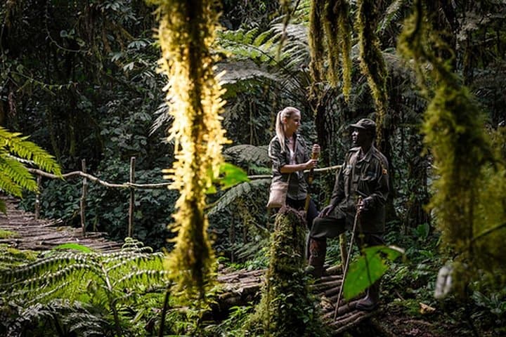 6-Day Uganda Rwanda Gorilla Trekking & Golden Monkey Safari photo 5