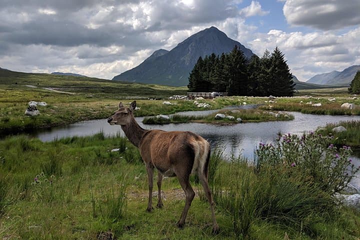 Highlands Private One-Day Tour from Edinburgh: Kelpies, Forth Bridge, Doune Castle & Loch Views photo 6
