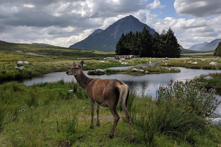 Private One-Day Highlands Tour from Edinburgh — Glencoe, Balquhidder & the Kelpies photo 6