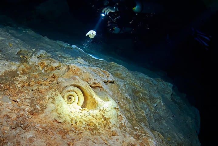 Cenote Diving from Riviera Maya: Guided Two-Dive Exploration photo 2