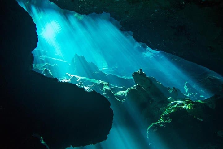Cenote Diving Near Playa del Carmen: Light-Filled Caverns & Underwater Cathedrals photo 4