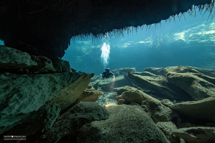 Discover Scuba Diving at Casa Cenote — Intro Dives from Riviera Maya photo 5