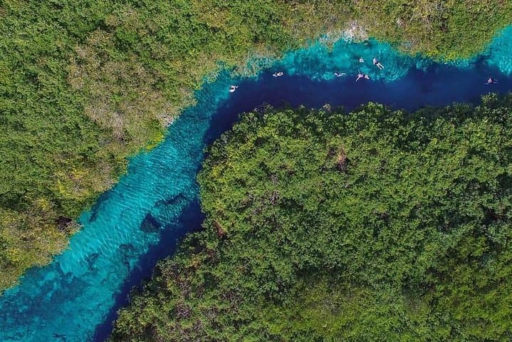 Discover Scuba Diving at Casa Cenote: Two Intro Dives with Underwater Video photo 4