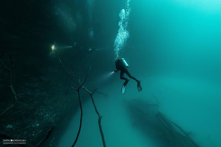 Diving Angelita and Casa Cenotes from Playa del Carmen: Deep Sulfide Cloud & Mangrove Caverns photo 6