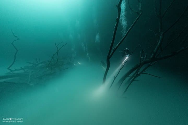 Diving Angelita and Casa Cenotes from Playa del Carmen: Deep Sulfide Cloud & Mangrove Caverns photo 2