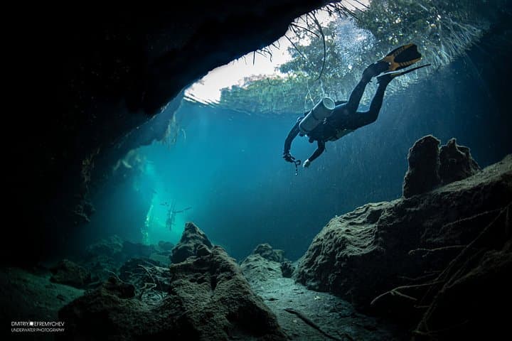 Diving Angelita and Casa Cenotes from Playa del Carmen: Deep Sulfide Cloud & Mangrove Caverns photo 5