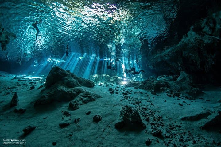 Cenote Diving in Dos Ojos: Bat & The Pit Guided Dives from Riviera Maya photo 5