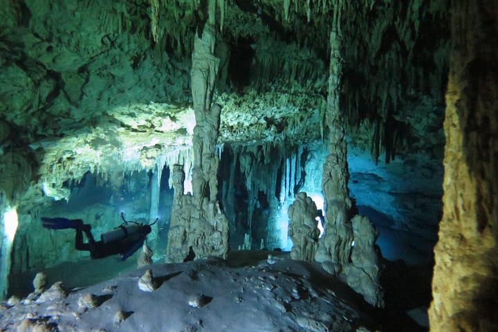 Cenote Diving at Dos Ojos & The Bat Cave — Two-Cenote Guided Dive from Playa del Carmen photo 2