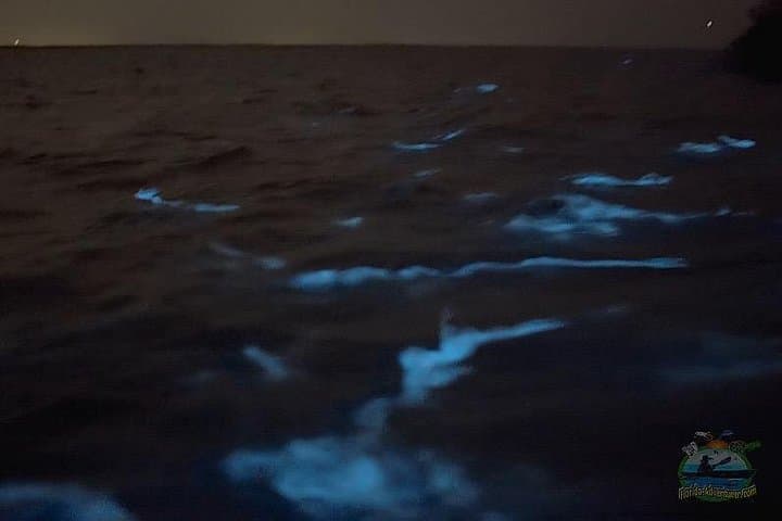 Titusville Bioluminescent Clear Kayak Tour — Space Coast Night Paddle photo 3