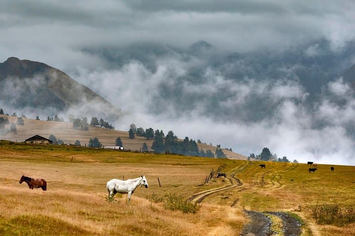 Tusheti to Kazbegi: 8-Day Trans-Caucasus Trek Across Remote Georgian Highlands photo 3