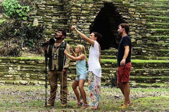 Birdwatching the Mayan Cities: Guided Tour to Dzibanche from Bacalar photo 3