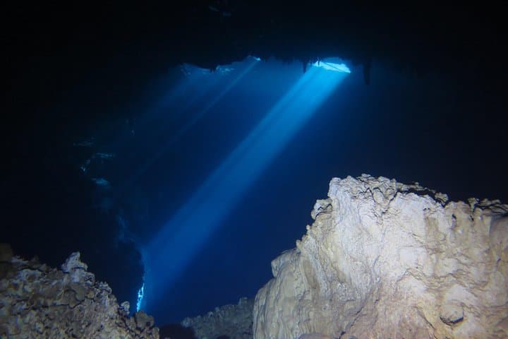 Cenote Diving in Dos Ojos: Bat & The Pit Guided Dives from Riviera Maya photo 2