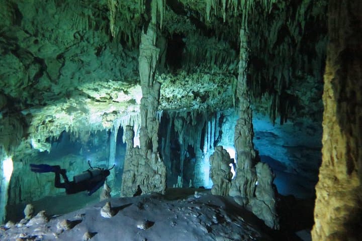 Cenote Diving in Dos Ojos: Bat & The Pit Guided Dives from Riviera Maya photo 4