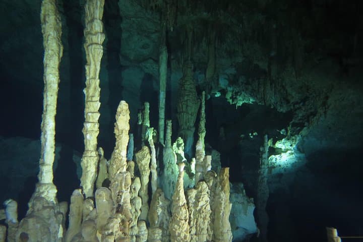 Cenote Diving at Dream Gate — Explore Sac Actun’s Stalactite Caverns