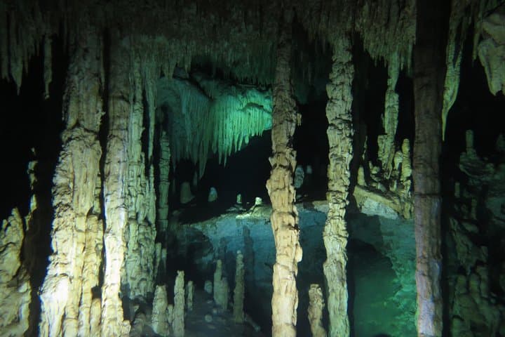 Cenote Diving at Dream Gate — Explore Sac Actun’s Stalactite Caverns photo 2