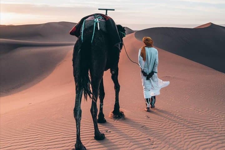 Luxury 3-Day Marrakech to Merzouga Desert Camp & Camel Trek photo 6