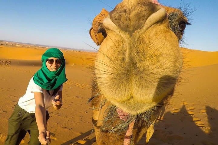 Luxury 3-Day Marrakech to Merzouga Desert Camp & Camel Trek photo 3