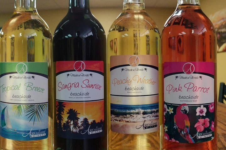 Aspirations Winery Tour & Tasting in Clearwater — What to Expect photo 5