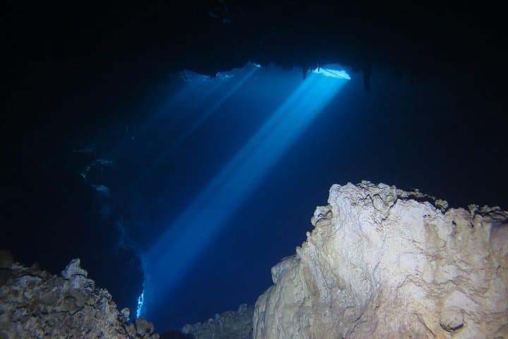 Cenote Diving at The Pit and Nicte Ha: Advanced Dives from Playa del Carmen photo 3