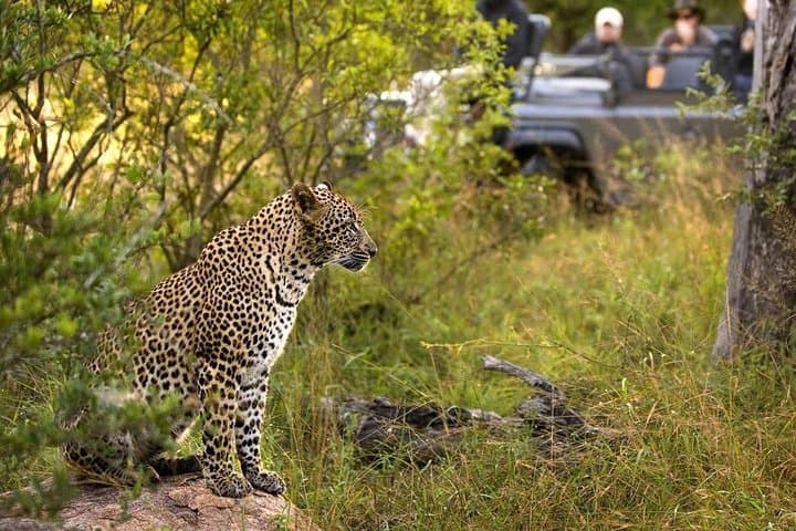 5-Day Masai Mara, Lake Nakuru & Naivasha Safari — Big Five, Flamingos & Boat Rides photo 3