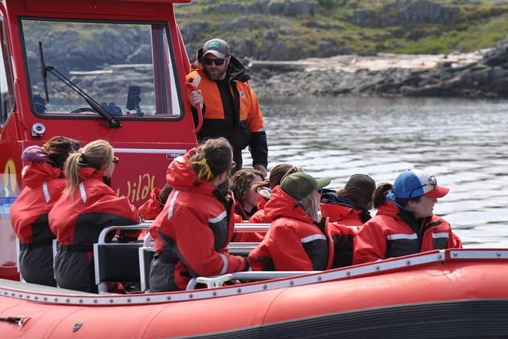 Zodiac Whale and Wildlife Tour from Campbell River — 6-Hour Coastal Adventure photo 2