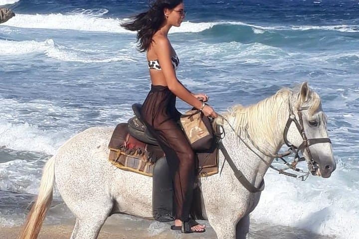 Aruba Advanced Horseback Riding Tour: Cunucu Countryside & Northeast Coast Gallops photo 4