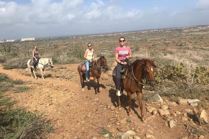 Sunset Horseback Ride in Aruba: Palm Beach Countryside to Northeast Coast photo 3
