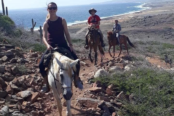 Gallop Aruba’s Rugged North Coast: 2.5‑Hour Advanced Horseback Adventure photo 2