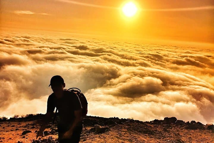 Get to Know Lima from the Sky: Full-Day Culinary Trek & City Panorama