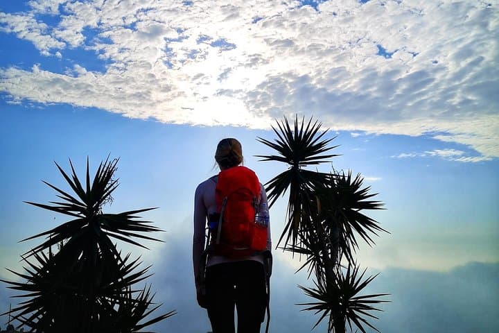 Get to Know Lima from the Sky: Full-Day Culinary Trek & City Panorama photo 5